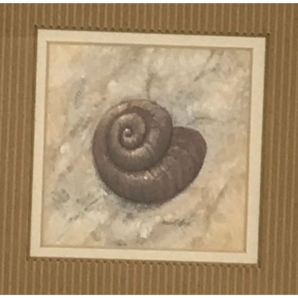 Arnie R Fisk Beachy Spiral Shell Lithograph Print Matted Framed Earth Tones - Picture 2 of 3